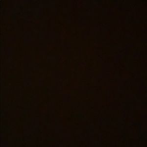 Meet your Posher, Giselle